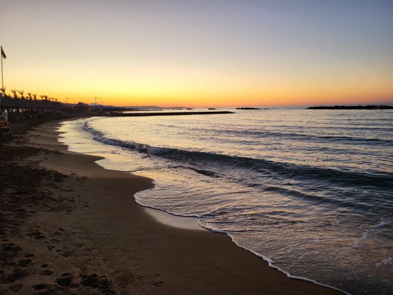 mare