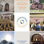 Visita a Nocciano e Degustazione Cantina Bosco